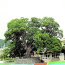 덕문중학교 이미지