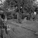 사익재 사랑채 이미지