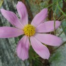 카톨릭병원 이미지