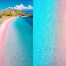 핑크비치 이미지