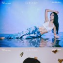 솔라 이미지