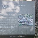 줄바위 Daum카페