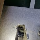 대동세탁 이미지