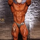 위너피티 이미지