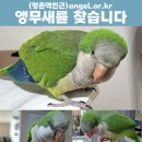 올리 이미지