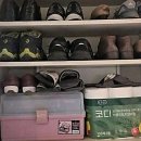 코리아나 오케스트라 | 인생에서 가장 깔끔하게 끝내는 이사 이야기, 울산에서 만난 최고의 파트너