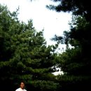 노블레스노마드 이미지