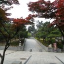 고려대역 1번출구 네이버블로그
