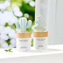 라운드어라운드 선인장 디퓨저 100ml 후기와 추천 포인트