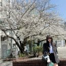 프린스 시바공원/CHOP 찹 커피 오모테산도/와라타코/스투시 하라주쿠, 시부야/이마카츠 긴자점 재방문 후기