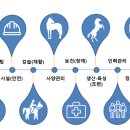 CK용역 이미지