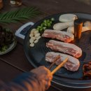 아이리스촌캉스 | [가평 숙소추천] 아이리스 촌캉스펜션 가평 아이리스 촌캉스펜션, 애견과 함께하는 힐링 공간