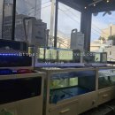 1009 | 수원역 맛집 추천, 회 무료 리필도 가능한 1009횟집 활어회세트 광어 우럭 먹은 후기