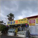 돼지조은날