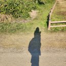 낙동강관리본부 화명생태공원 3 | [부산 북구 화명동 공원]러닝,산책하기 좋은 화명생태공원