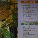 해나무