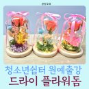 청소년 감성교실 3-세계속의 청소년 | 마음을 어루만지는 시간: 플라워돔 수원청소년센터 원예출강