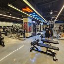 분당-178 이미지