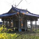 대은정(大隱亭) 네이버블로그