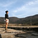 서부해안로(안치) 이미지