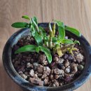 무명농장 이미지