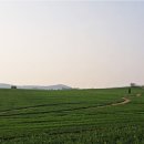 왕지농장 이미지