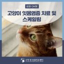 고척원동물의료센터 이미지