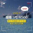 시청탑공인중개사사무소 이미지