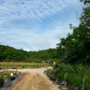 하늘농원 옆 이미지