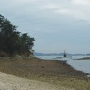 하송도 Daum백과