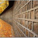 친구와 돌담길 이미지