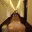 그리니제주 | [국내/여행]제주 더 시에나 리조트 (내돈내산,디너, 일캄포 씨푸드뷔페)