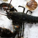 영일수산 이미지