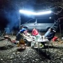 평화강변수목캠핑장 이미지