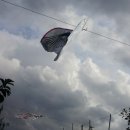 은색농장 이미지