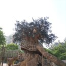 벌말어린이공원 이미지