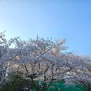 파인커피로스터스 이미지