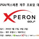 에이스골프 이미지