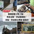 김밥천국 묵호점 | 애견동반 동해여행 2박3일｜묵호김밥·안녕동해야·어달·한섬해수욕장 총정리