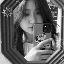 종이숲 이미지