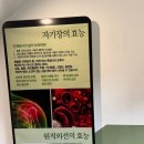 온 디톡스 족욕 까페 이미지