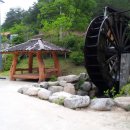 산양농산촌체험마을 이미지