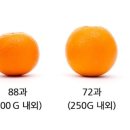 엠와이코퍼레이션