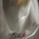 3월시작 일상블로그 시간이 너무 빨리간다