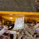 (주)삼호수산 네이버블로그