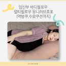 임산부 바디필로우 멀티필로우 유니러브호포 역방쿠까지 되는 임산부선물추천