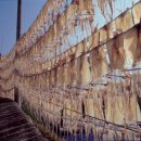 좋은아침민박 이미지