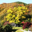 용계초등 이미지