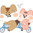 컴세상정보통신 이미지