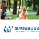 웰케어 동물건강검진센터·동물한방재활센터 이미지